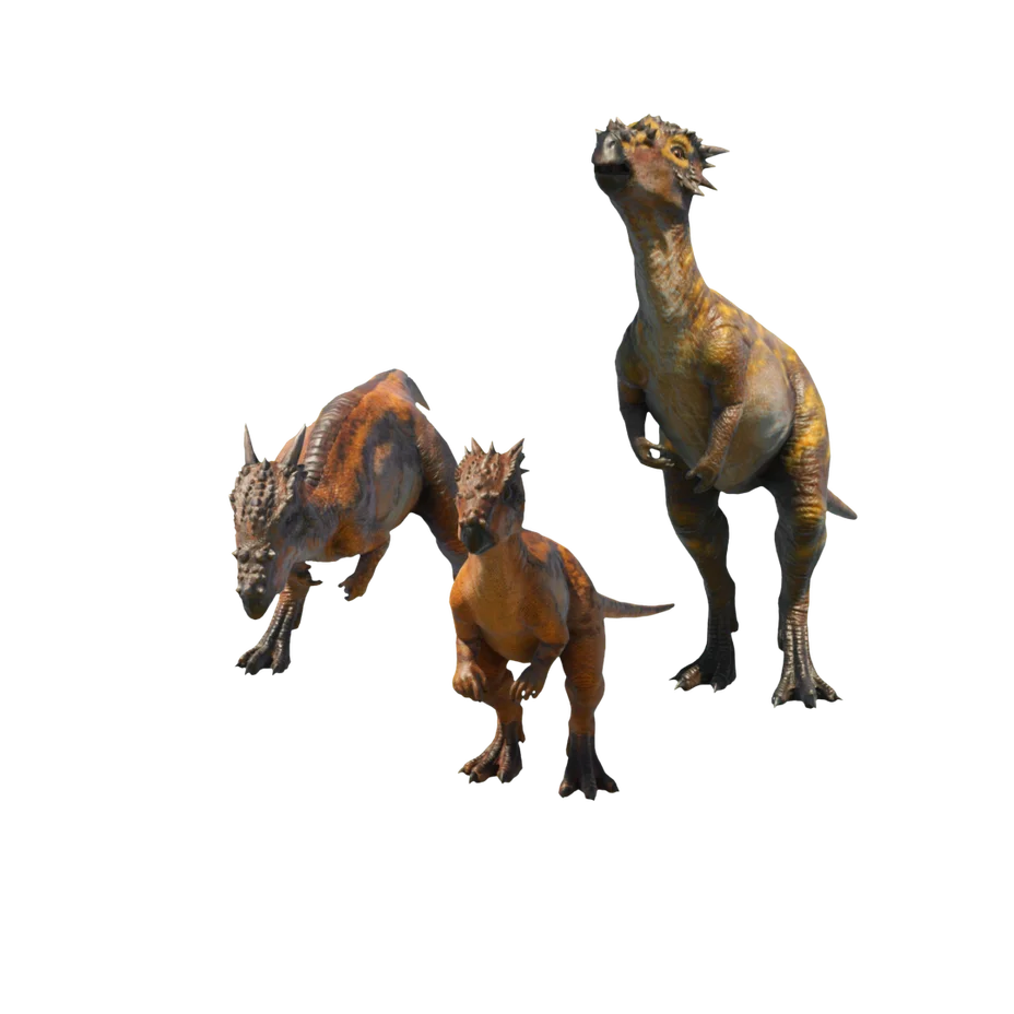 Dracorex
