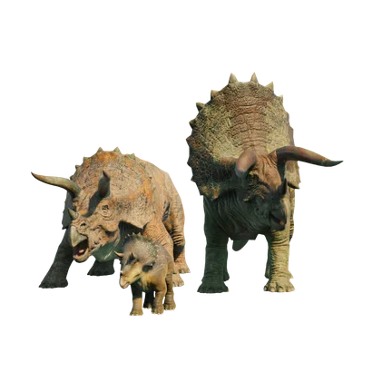 Triceratops