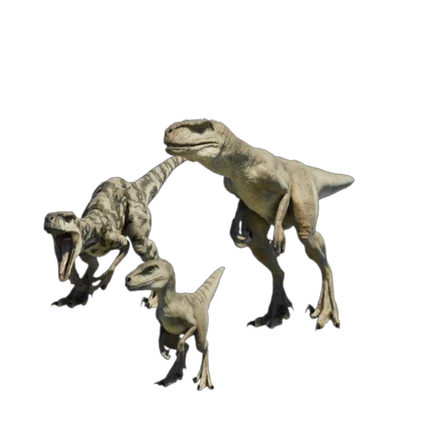 Atrocirraptor