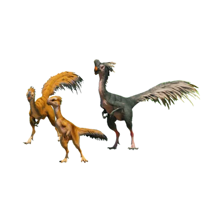 Oviraptor