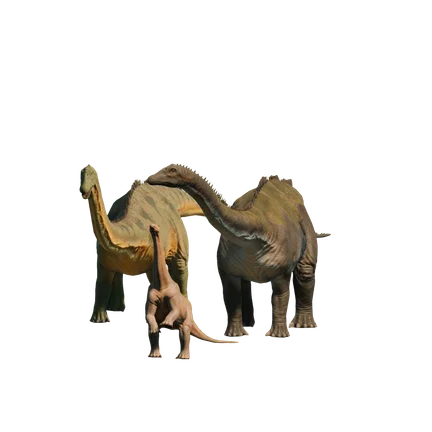 Diplodoco