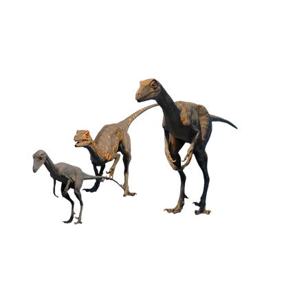Troodonte