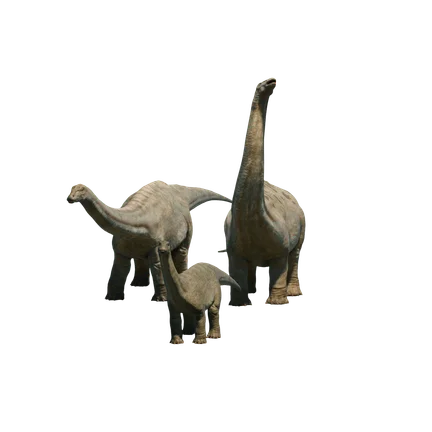 Apatosaurus