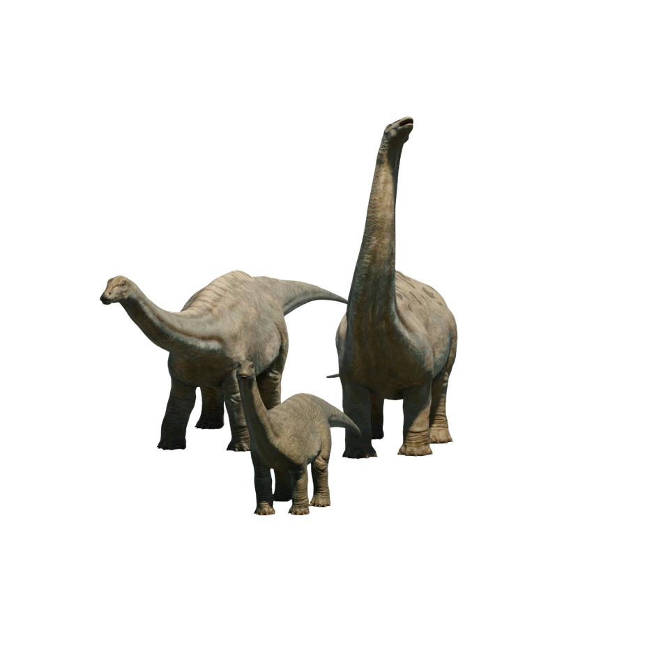 Apatosaurus