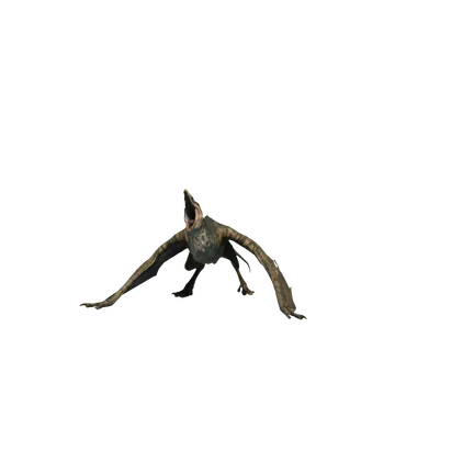 Mutadonte