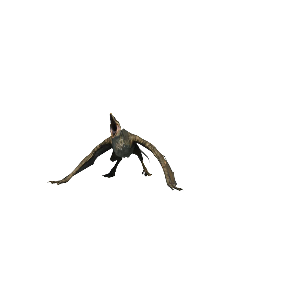 Mutadonte