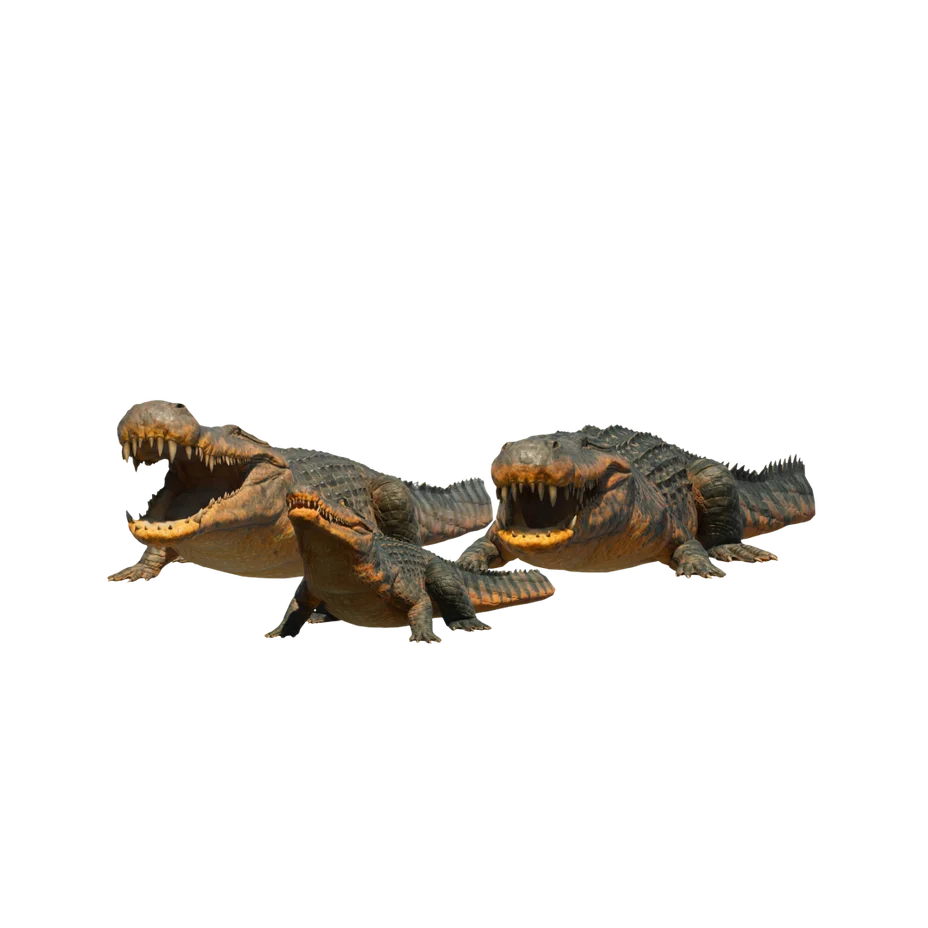 Deinosuchus
