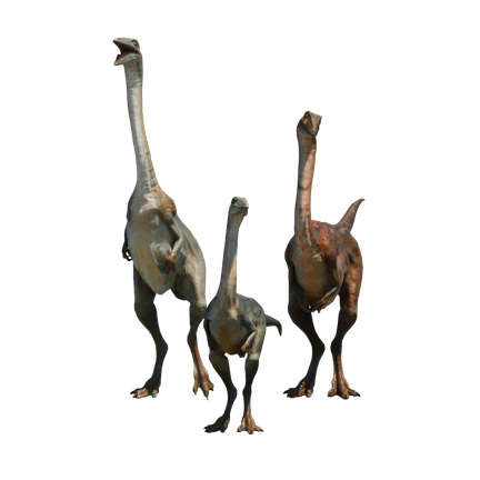 Archaeornithomimus
