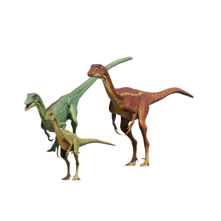 Coelophysis