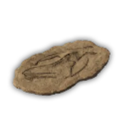 PO_DigSite_Fossil_03.png