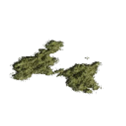 AZ_Decal_01_MossPatch_04.png