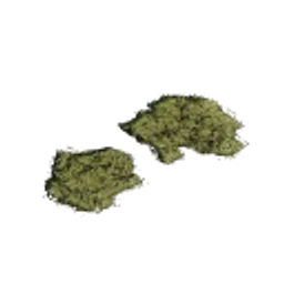 AZ_Decal_01_MossPatch_01.png