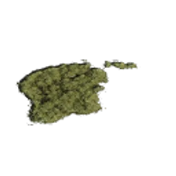 AZ_Decal_01_MossPatch_02.png