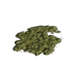 AZ_Decal_01_MossPatch_03.png