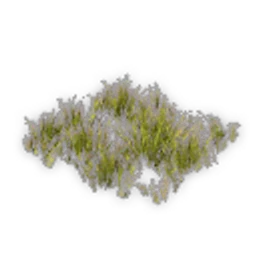 Grass_Meadow_01_Short.png