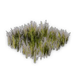 Grass_Meadow_01_Tall.png