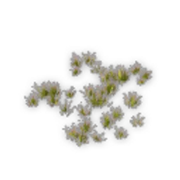 Grass_Meadow_02_Short.png