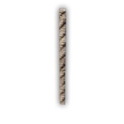 EP_Dragon_Paper_Support_05m.png