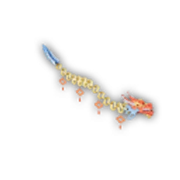 EP_Dragon_Paper_01_12m.png
