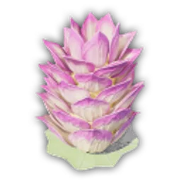 EP_Lotus_03.png