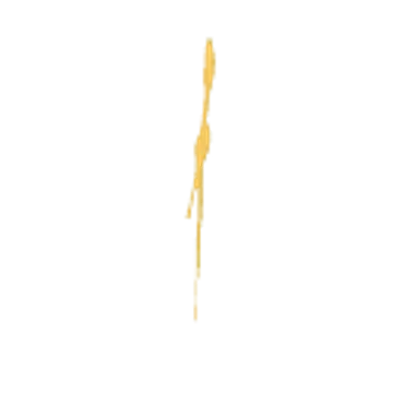 TY_PaintSplat_04.png
