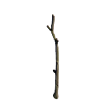 SC_TreeFolk_Branch_02.png
