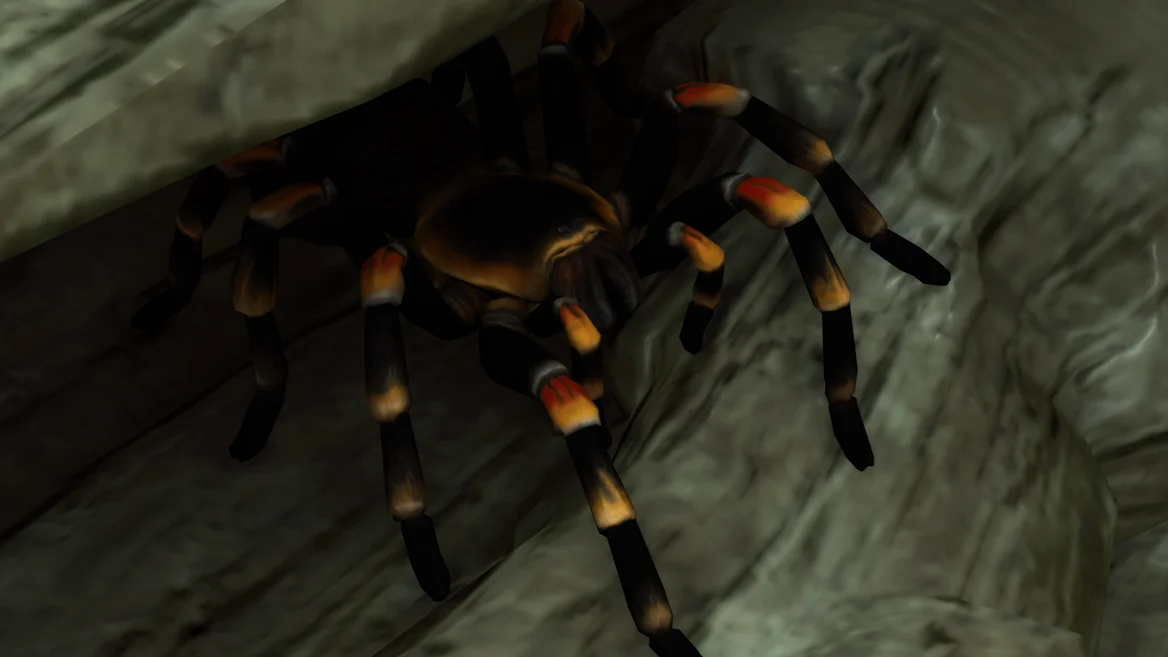 Tarántula mexicana de rodillas anaranjadas