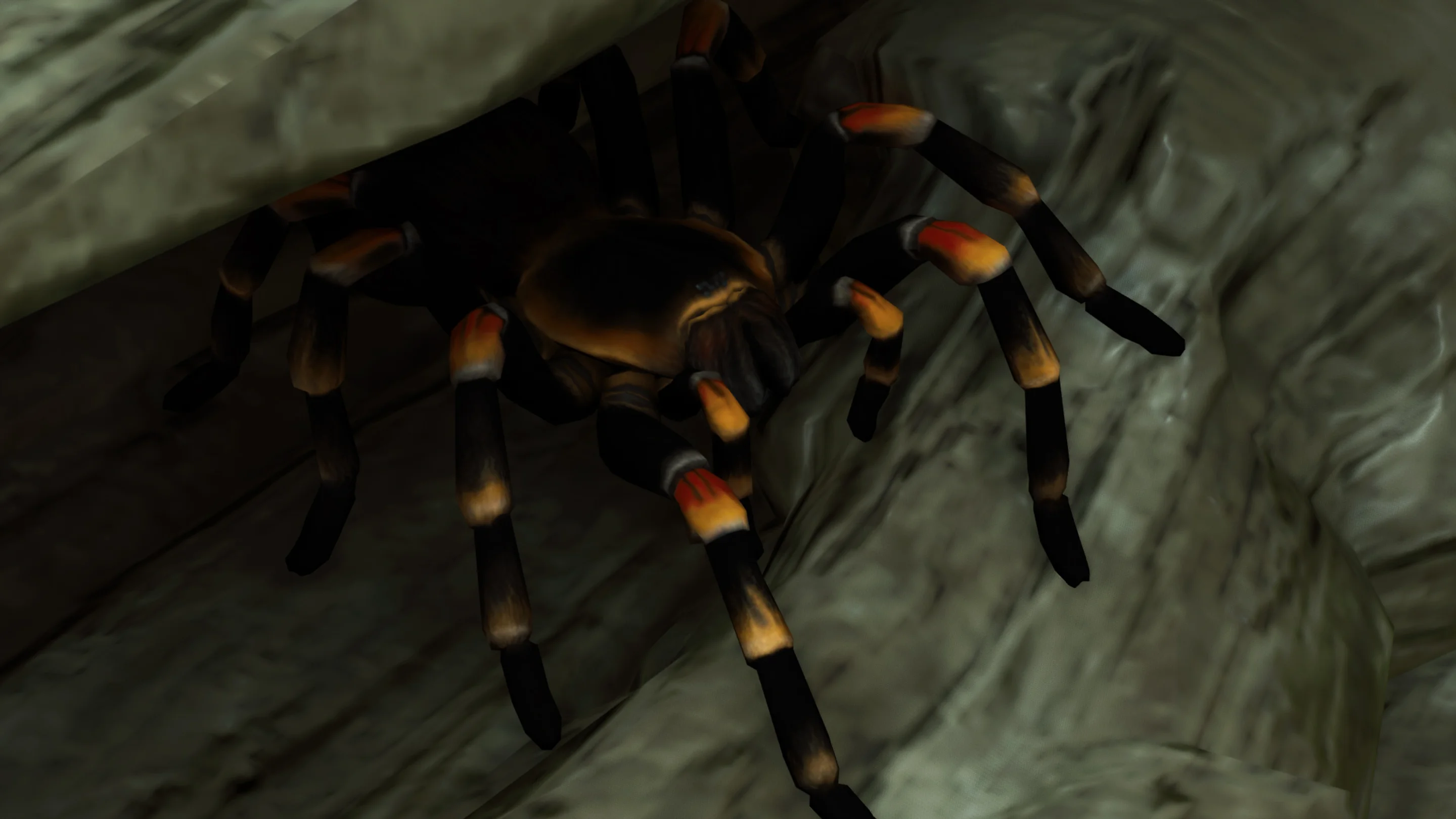 Mexican Redknee