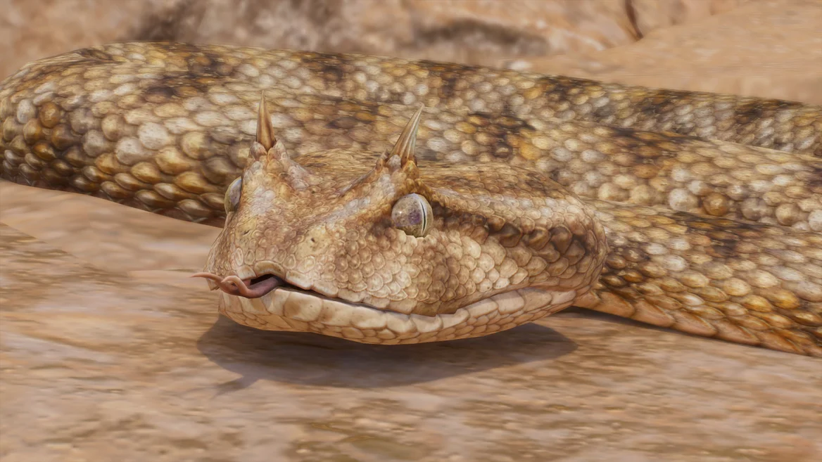Víbora cornuda del desierto