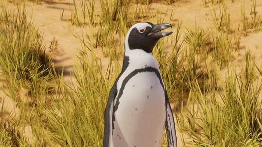 African Penguin in Planet Zoo 2