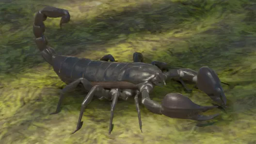Giant Forest Scorpion in Planet Zoo 2