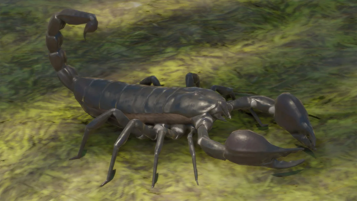 Giant Forest Scorpion