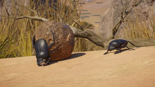 Sacred Scarab Beetle in Planet Zoo 2