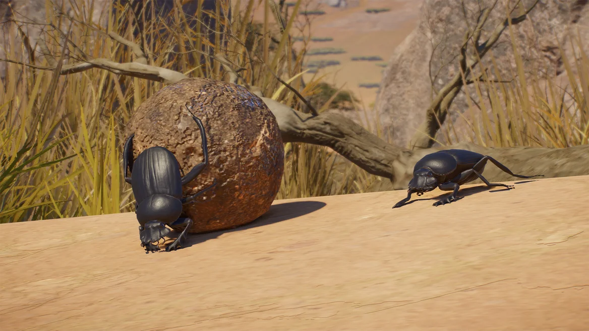 Sacred Scarab Beetle