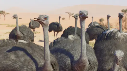 Common Ostrich in Planet Zoo 2