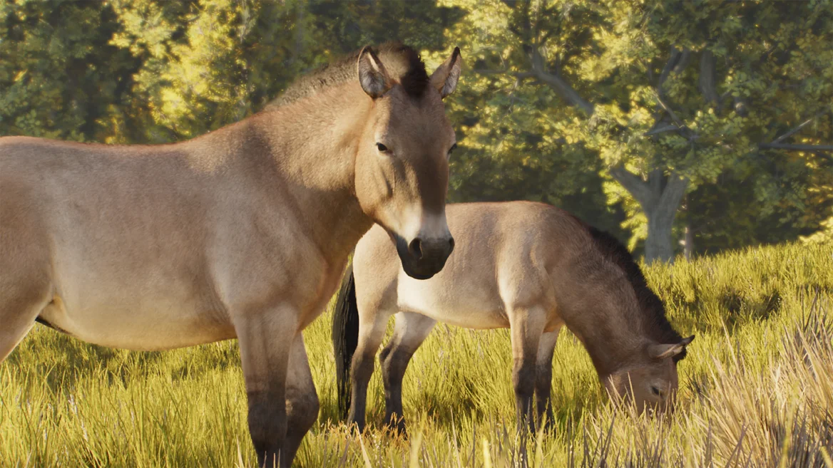 Caballo de Przewalski
