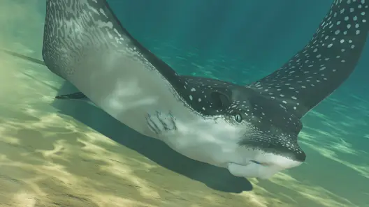 Ocellated Eagle Ray in Planet Zoo 2