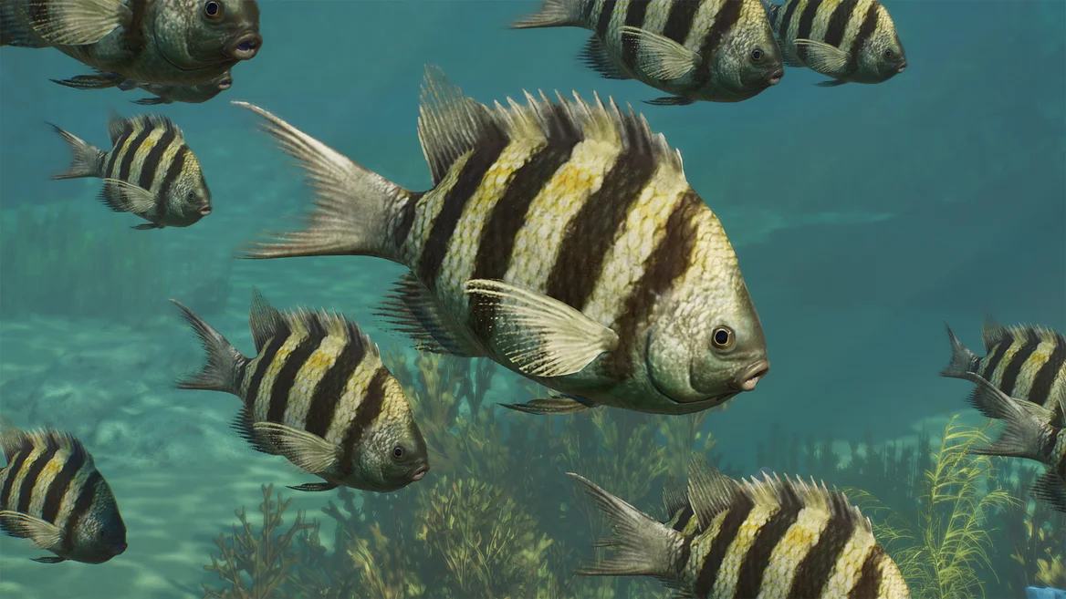Poisson-bagnard