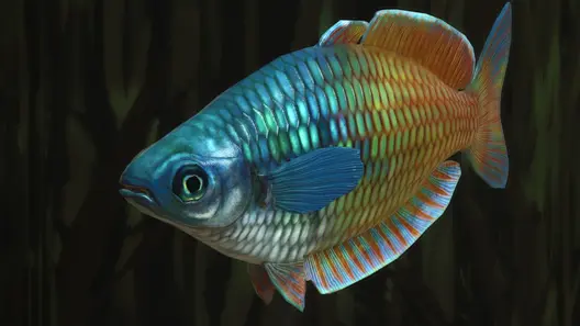 Boeseman's Rainbowfish in Planet Zoo 2