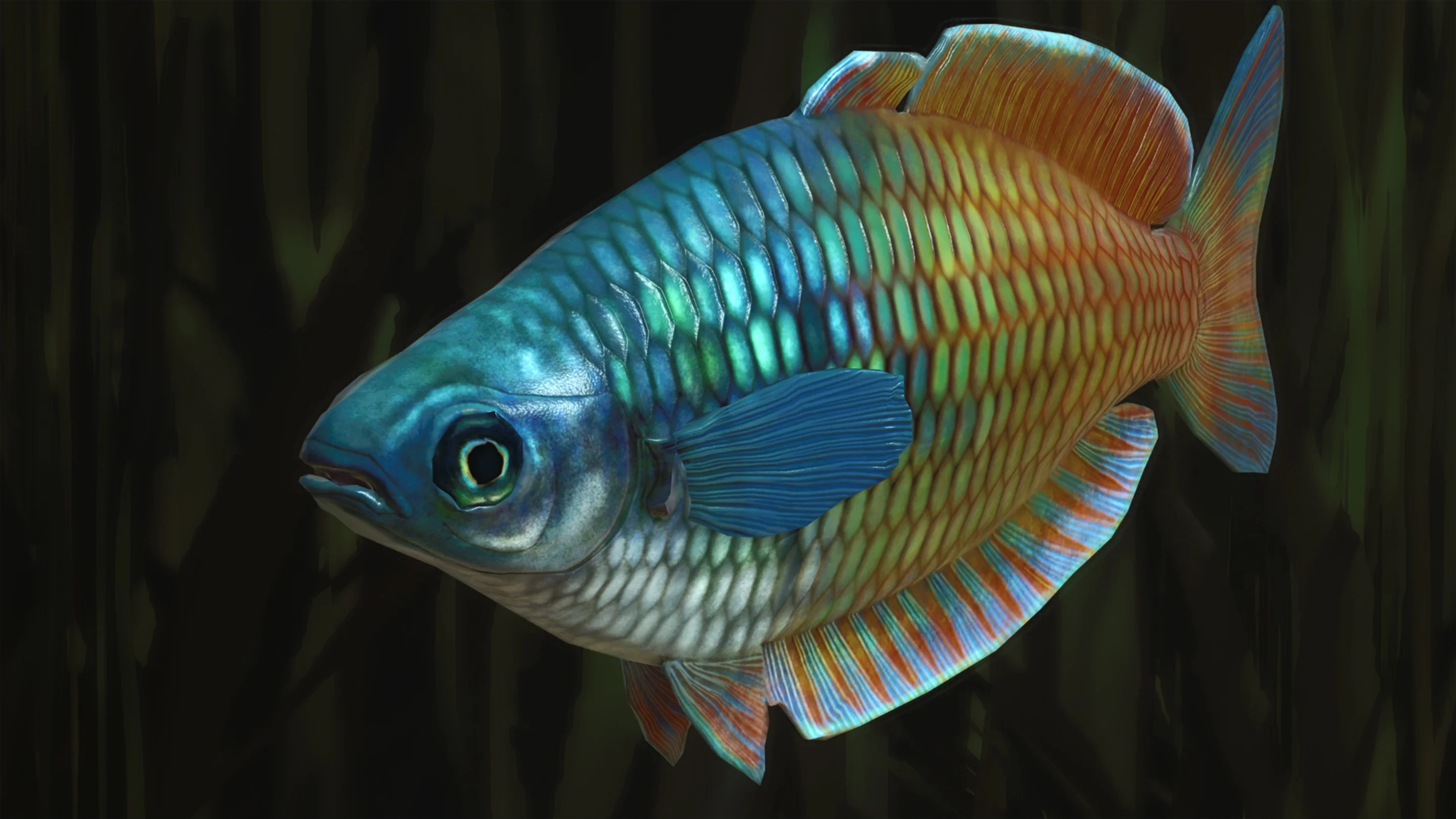 Boeseman's Rainbowfish