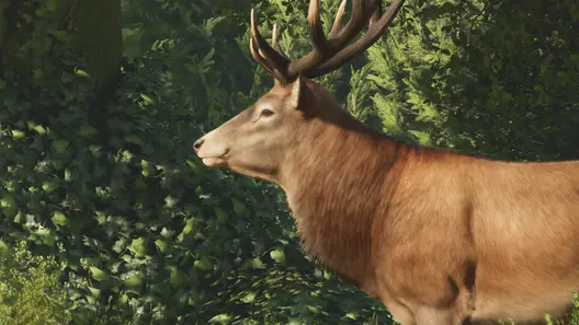 Red Deer in Planet Zoo 2