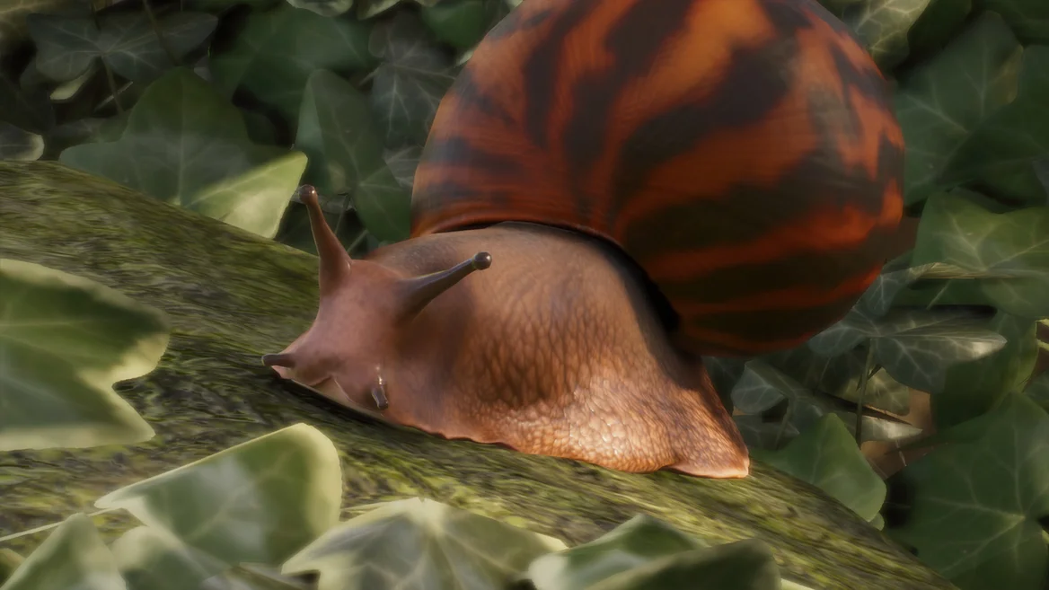 Caracol tigre gigante