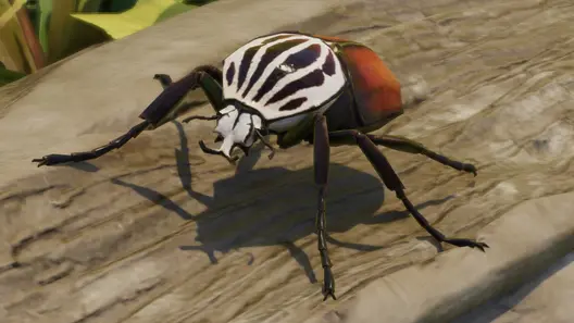 Goliath Beetle in Planet Zoo 2
