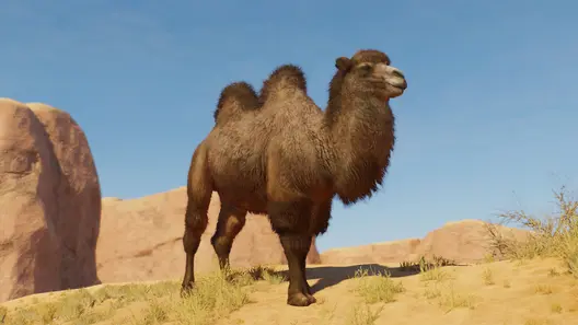Bactrian Camel in Planet Zoo 2