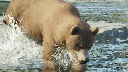 Grizzly Bear in Planet Zoo 2