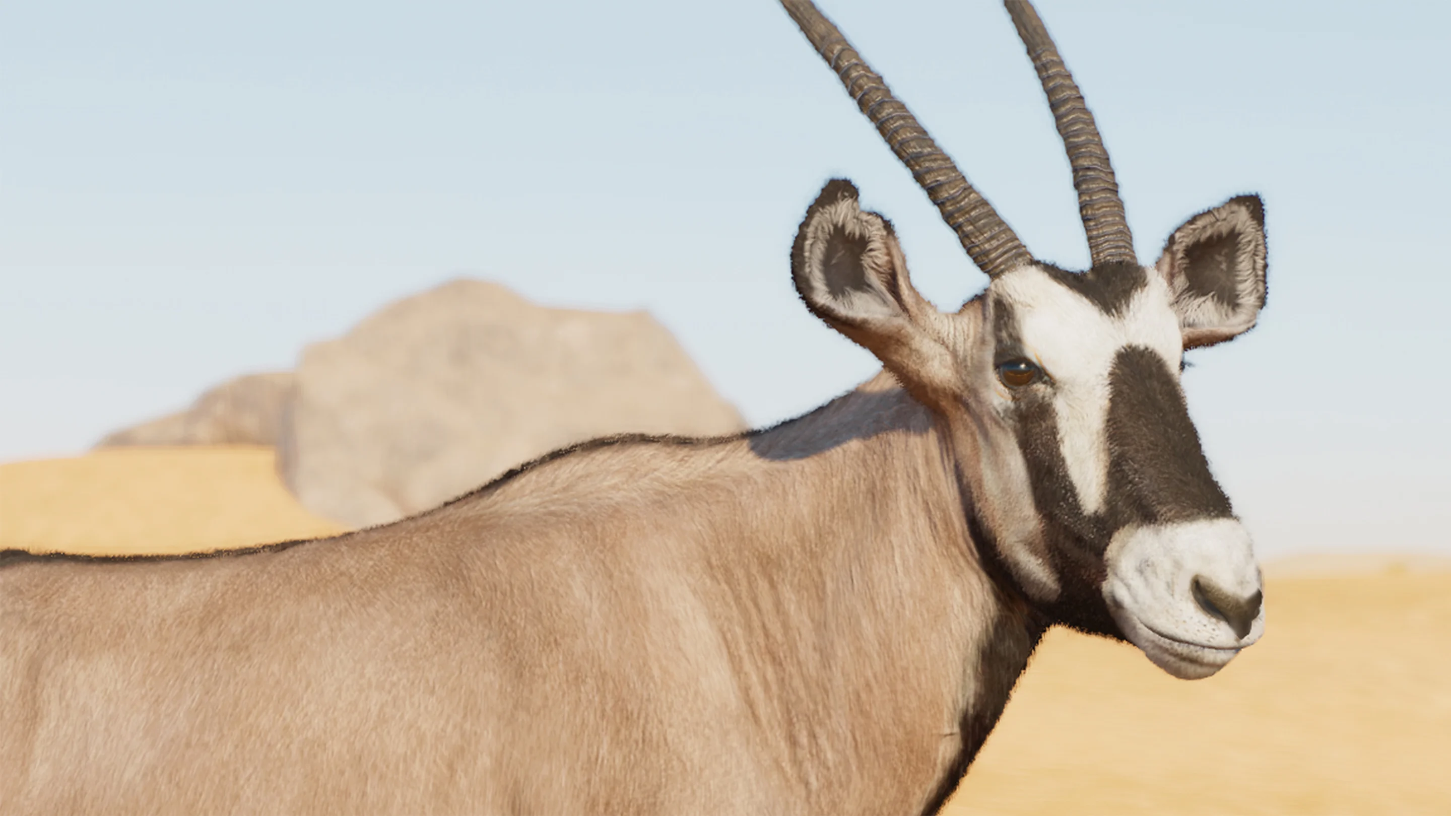 Gemsbok
