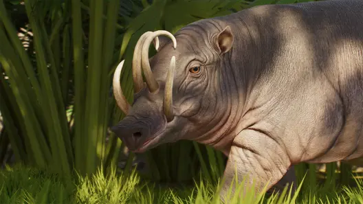 North Sulawesi Babirusa in Planet Zoo 2