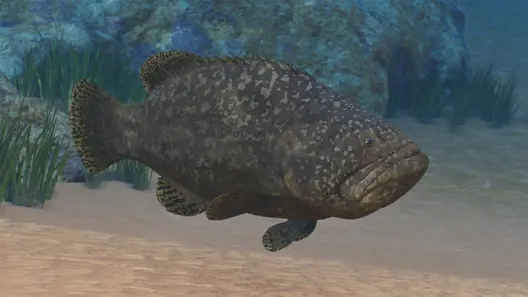 Giant Grouper in Planet Zoo 2