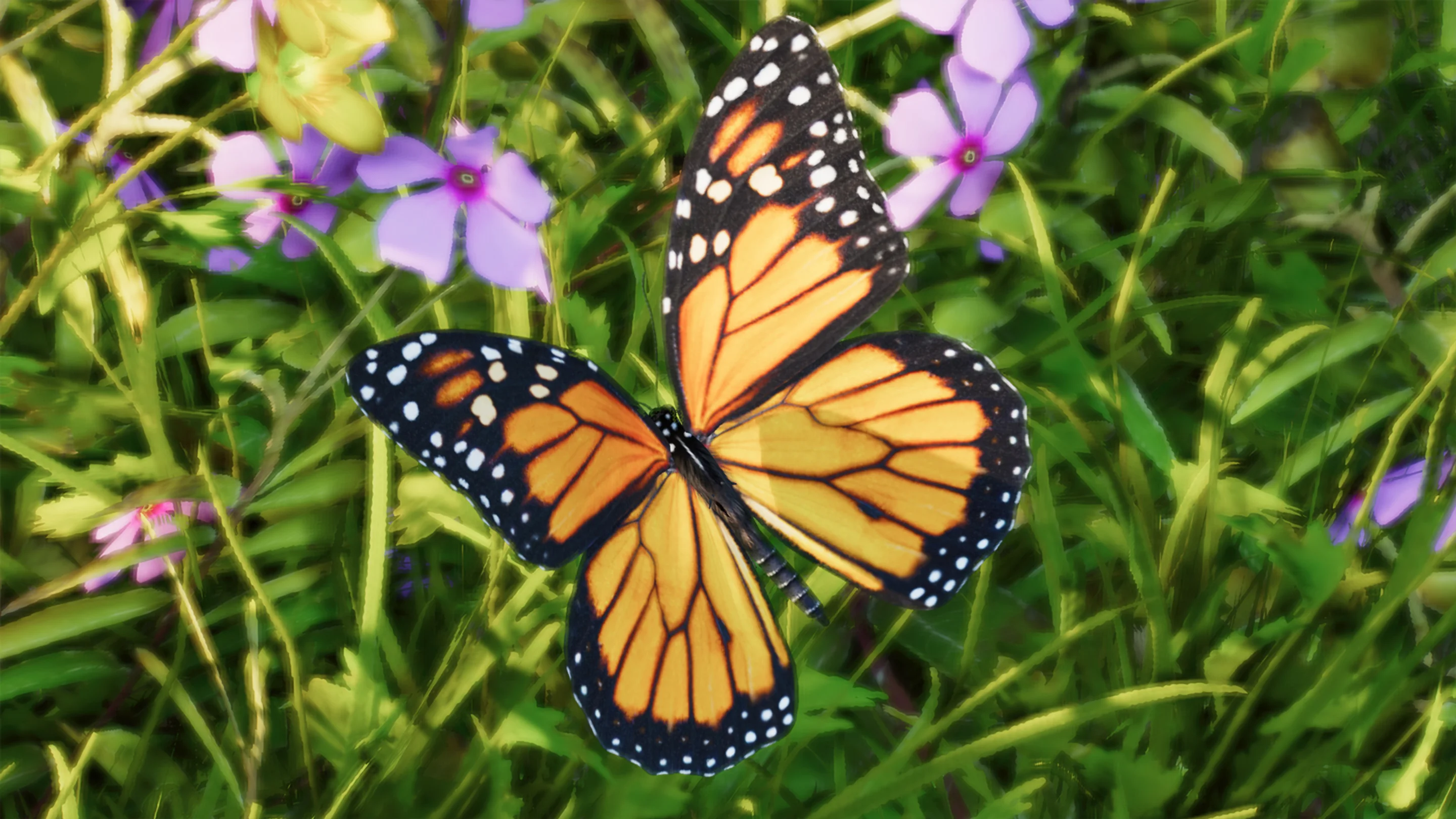 Monarch