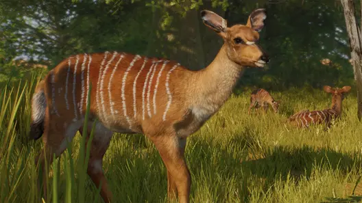 Nyala in Planet Zoo 2